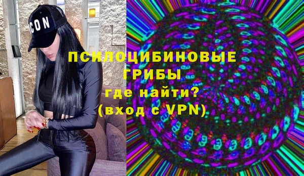 кокс Белокуриха