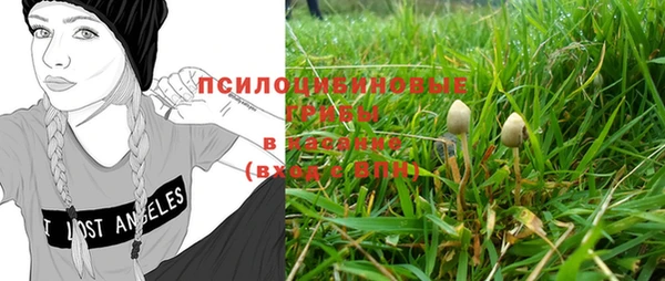 кокс Белокуриха
