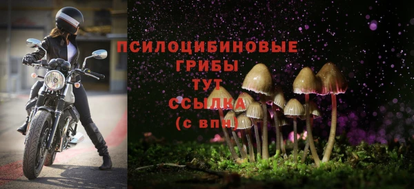 молекула духа Беломорск