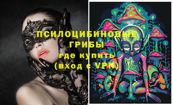 молекула духа Беломорск