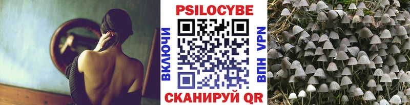 Псилоцибиновые грибы Cubensis  Купить закладки  Горбатов 